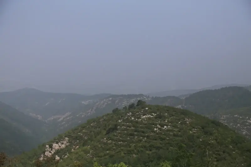 Colinas cubiertas de árboles jóvenes de una zona reforestada en la provincia de Shanxi, en China