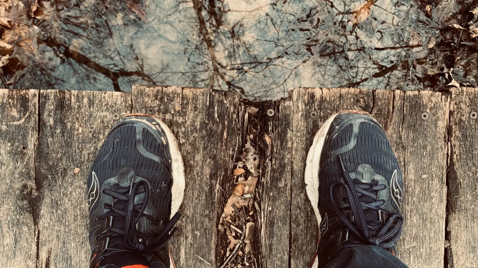 Zapatillas de deporte sobre un camino en un parque, simbolizando la carrera solidaria por la investigación.