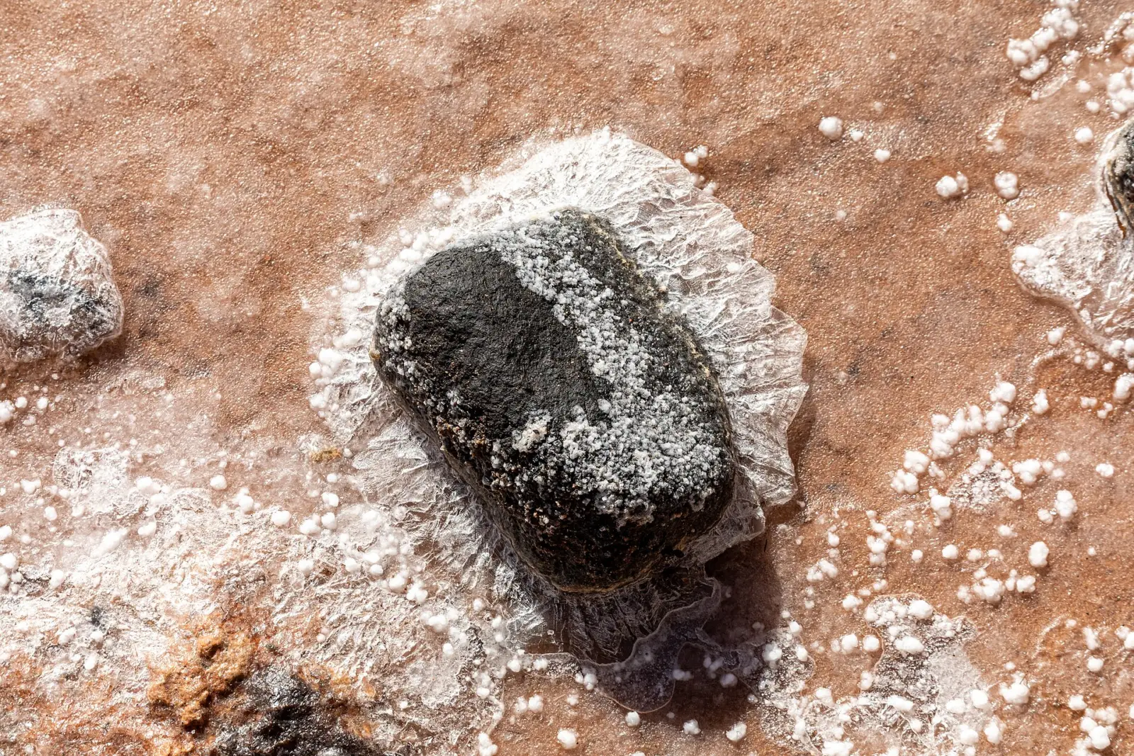 Cristales blancos de sal marina formados por evaporación alrededor de una piedra oscura en unas salinas