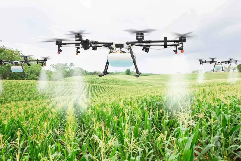 Dron sobre campo australiano detectando malas hierbas