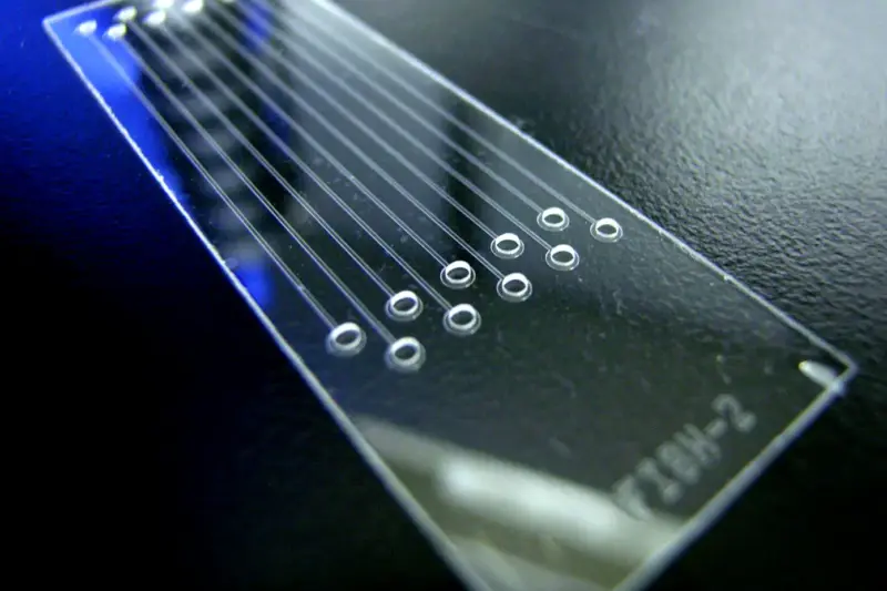 Investigadora con las manos enguantadas sosteniendo un microchip transparente en un laboratorio biomédico.