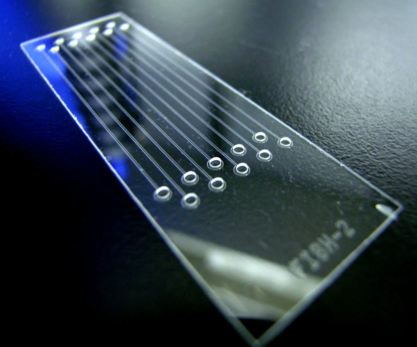 Investigadora con las manos enguantadas sosteniendo un microchip transparente en un laboratorio biomédico.