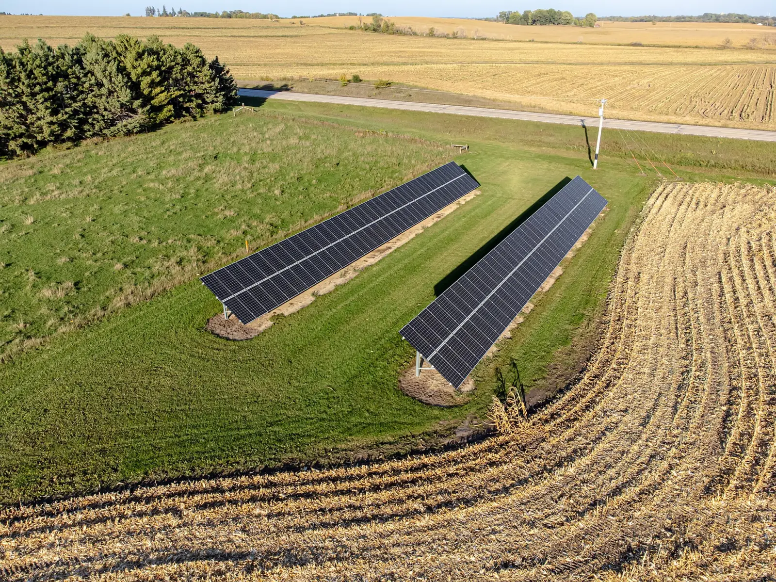 Filas de paneles solares fotovoltaicos en una planta extensa al atardecer, con el horizonte al fondo.