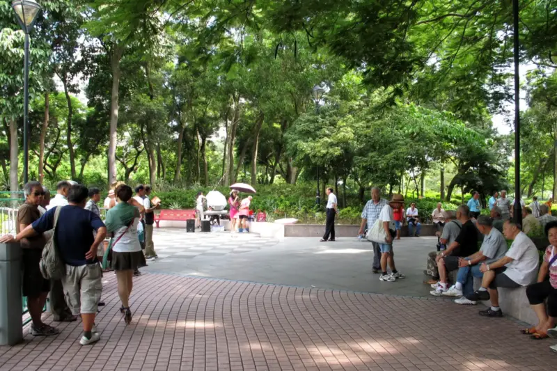 Grupo de personas mayores caminando por un parque en un día soleado.
