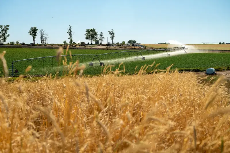 Agua: innovación y tecnología contra la escasez