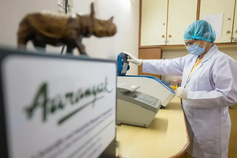Científico analizando secuencias de ADN en un laboratorio clínico moderno.