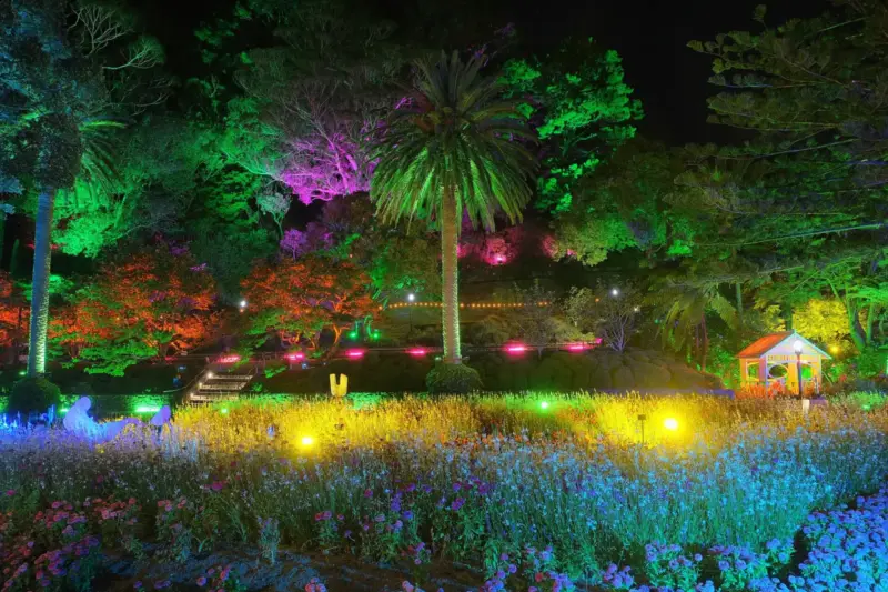Jardín nocturno con rosas luminosas junto a un pazo de piedra, con visitantes paseando entre las luces.