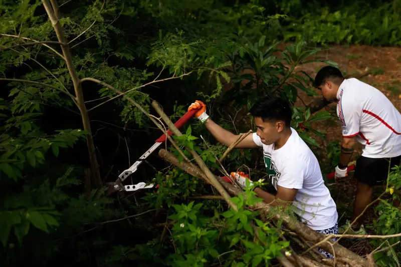 Voluntarios limpiando la vegetación de una zona verde