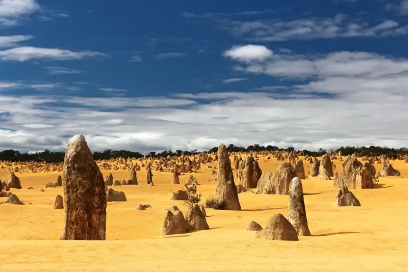 Agujas de roca volcánica y árboles en un paisaje montañoso de Arizona al atardecer