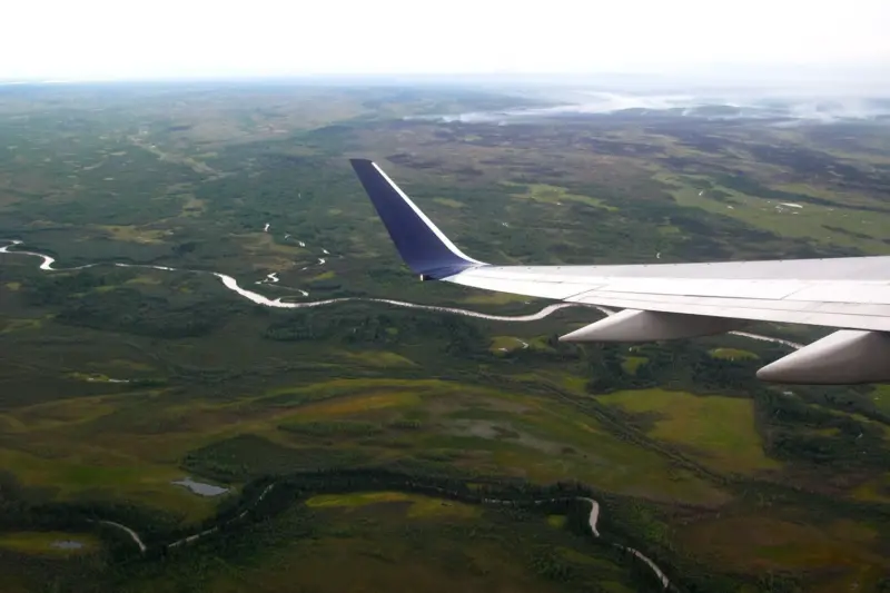 Bosque boreal sobre suelo helado en Alaska, con árboles dispersos y tundra en un día despejado