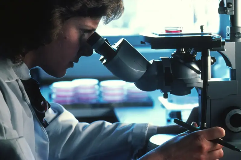 Laboratorio científico donde se investiga la regeneración del pelo y los folículos pilosos.
