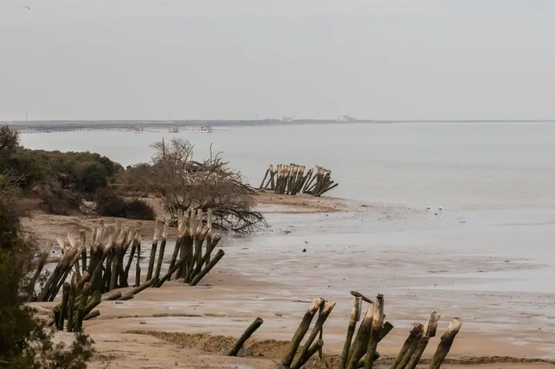 Antiguos terrenos agrícolas junto a zonas de pinar y matorral en el entorno de Doñana
