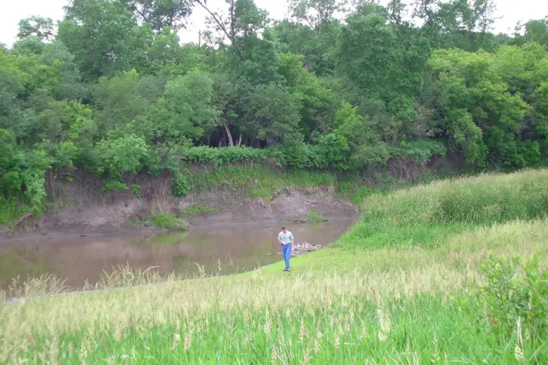 Orilla de un río con estructura de troncos entrelazados y vegetación joven junto al agua en un paisaje de montaña.