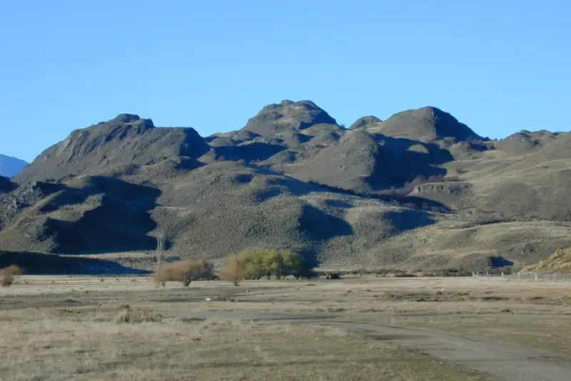 Vacas Angus pastando en una extensa estepa patagónica con colinas al fondo